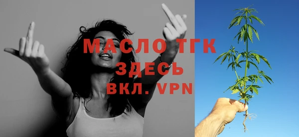 гидра Долгопрудный
