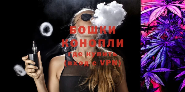 гидра Долгопрудный