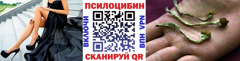 Псилоцибиновые грибы прущие грибы  сколько стоит  Иноземцево 